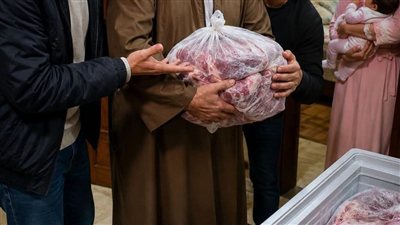 قصة جديدة 