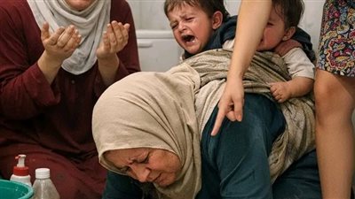 قصة جديدة 